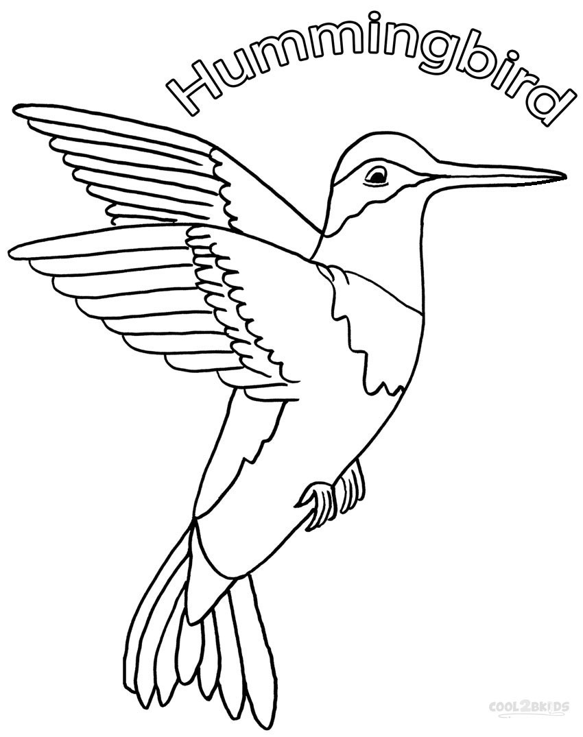 Hummingbird Coloring Pages
 Printable Hummingbird Coloring Pages For Kids