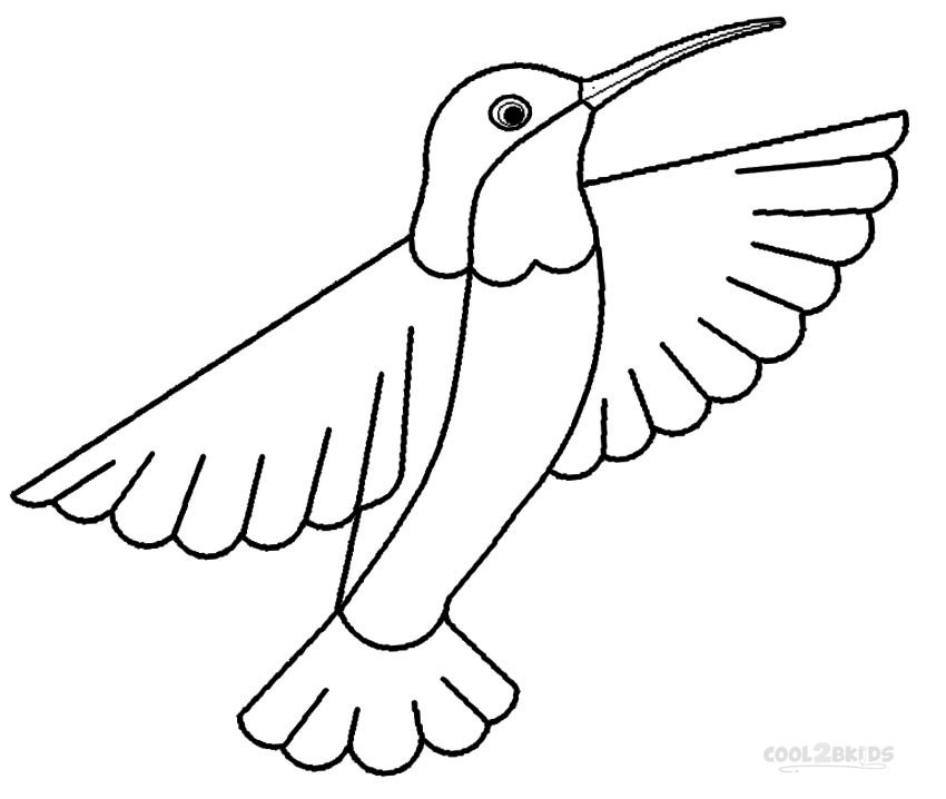 Hummingbird Coloring Pages
 Printable Hummingbird Coloring Pages For Kids