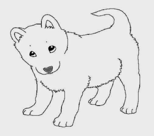 Husky Coloring Pages
 Husky Dog