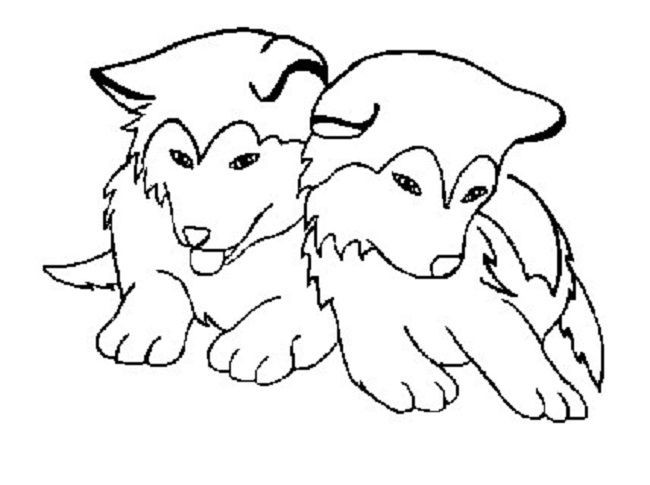 Husky Coloring Pages
 husky coloring pages coloring Pages Pinterest