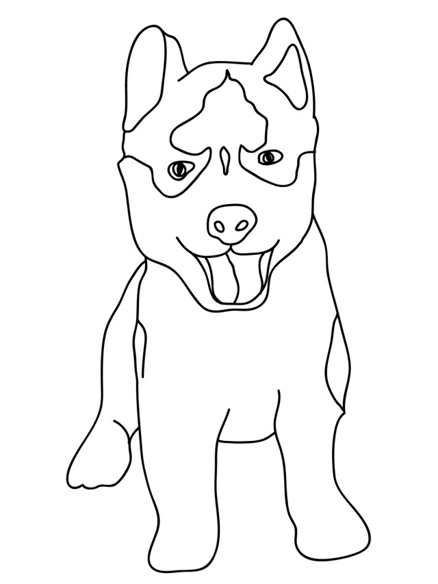 Husky Coloring Pages
 Husky Coloring Pages Best Coloring Pages For Kids