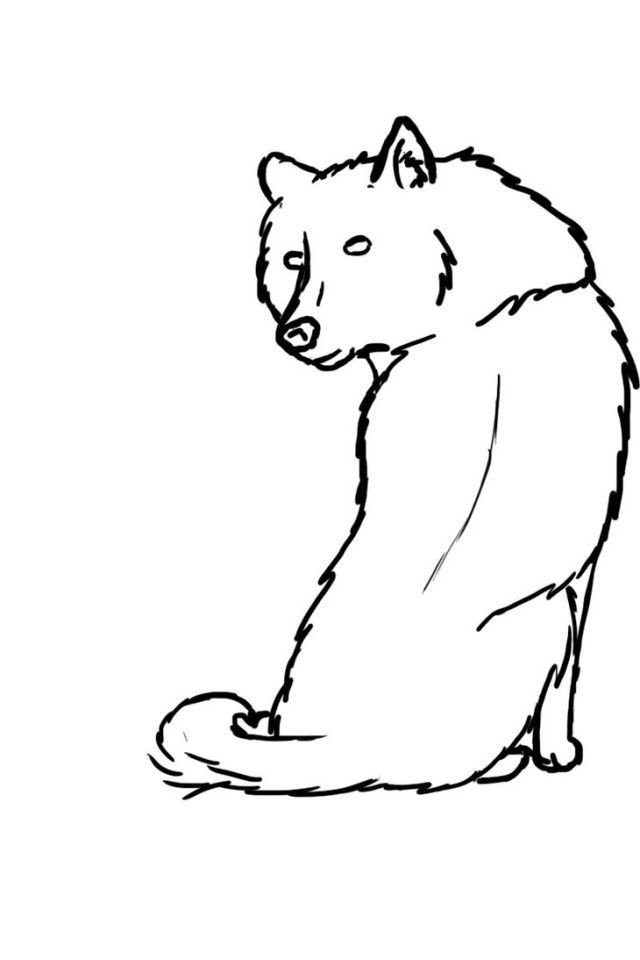 Husky Coloring Pages
 Husky Coloring Pages Best Coloring Pages For Kids