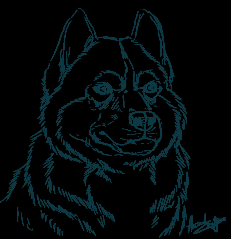 Husky Coloring Pages
 Husky Line by Kantaka1 on DeviantArt