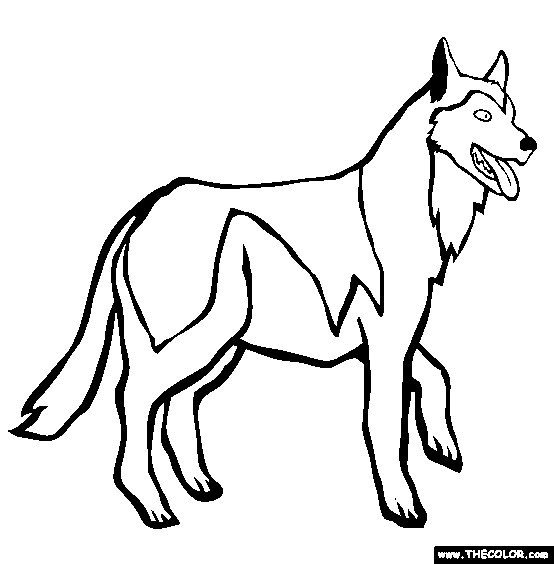 Husky Coloring Pages
 Dogs line Coloring Pages