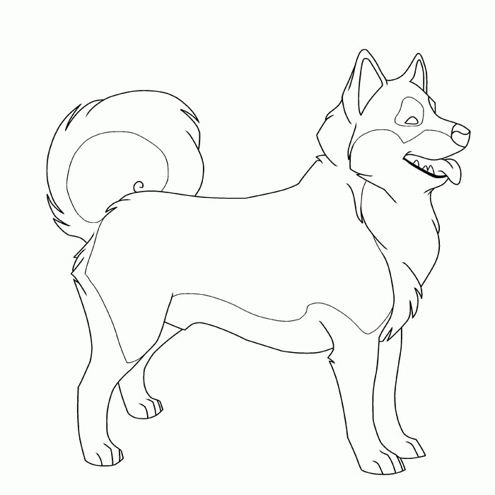 Husky Coloring Pages
 Husky Coloring Pages Best Coloring Pages For Kids