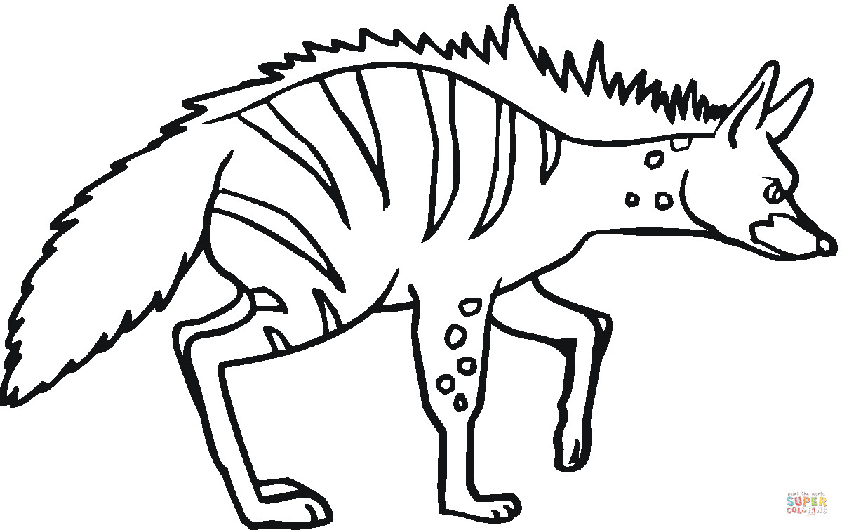 Hyena Coloring Pages
 Striped Hyena 5 Coloring page