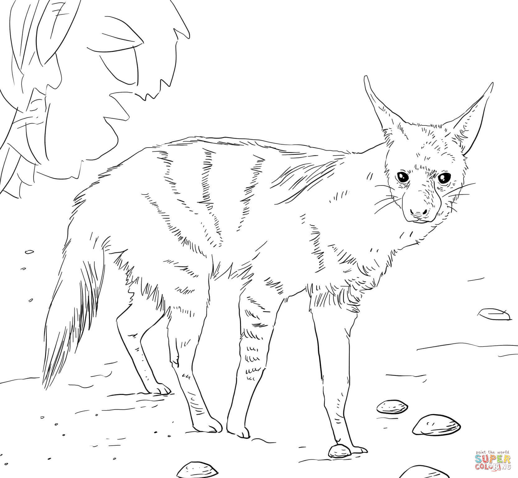 Hyena Coloring Pages
 African Aardwolf coloring page