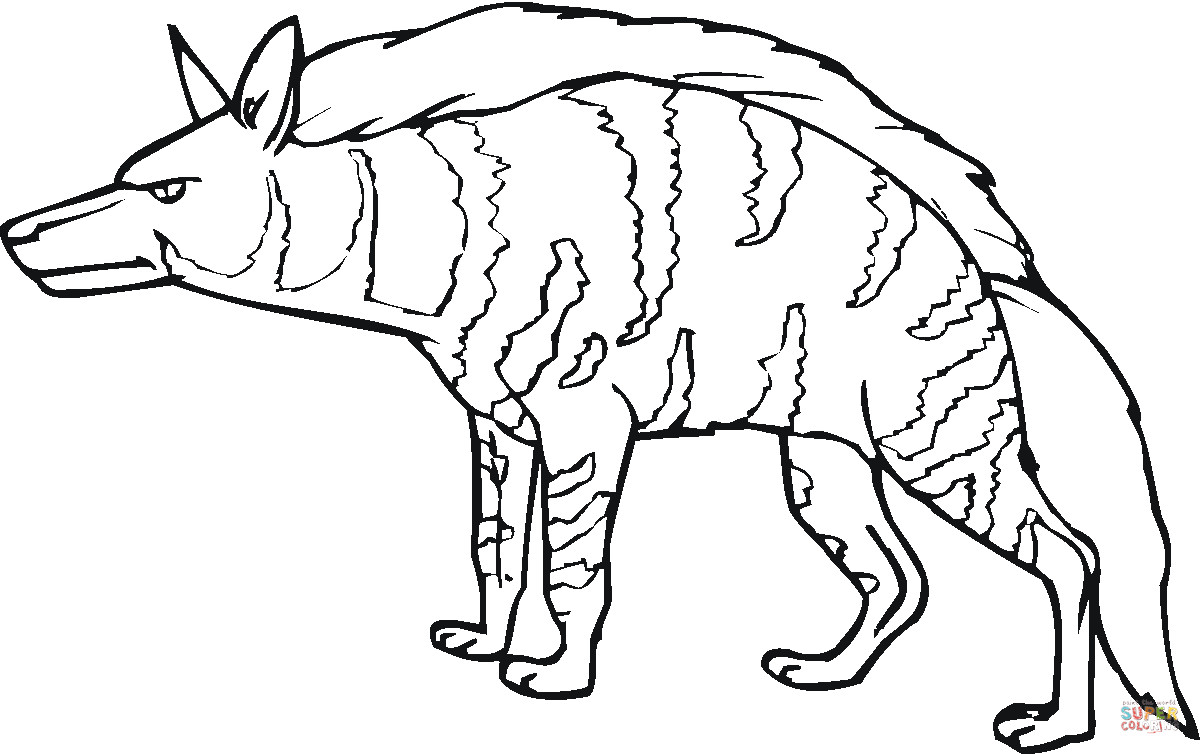 Hyena Coloring Pages
 Disegno di Iena striata da colorare