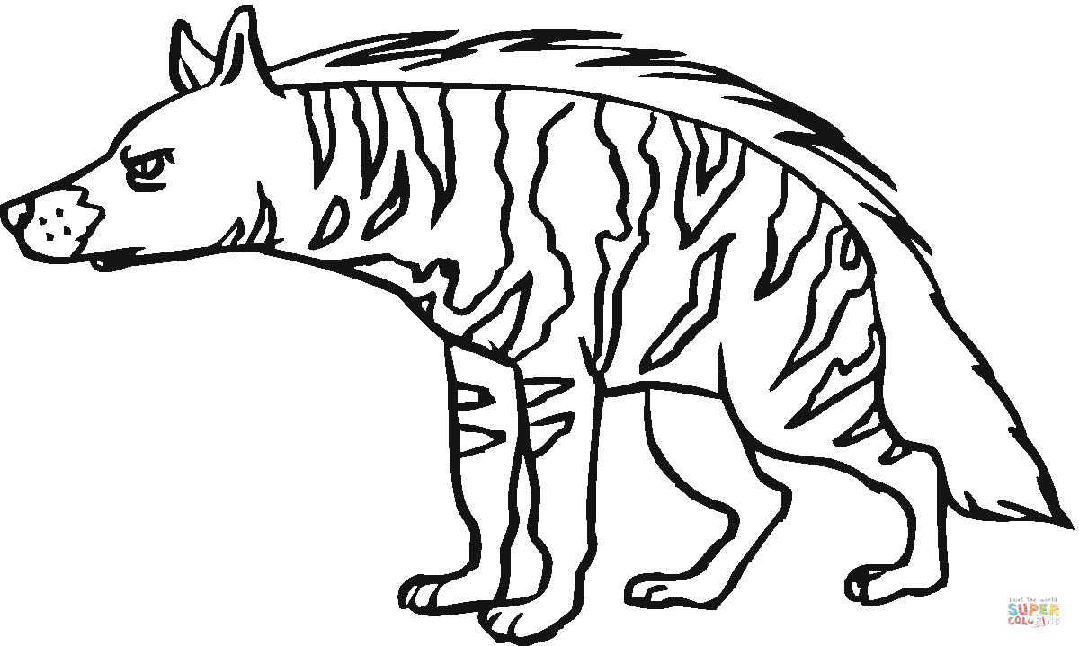 Hyena Coloring Pages
 Striped Hyena 12 coloring page