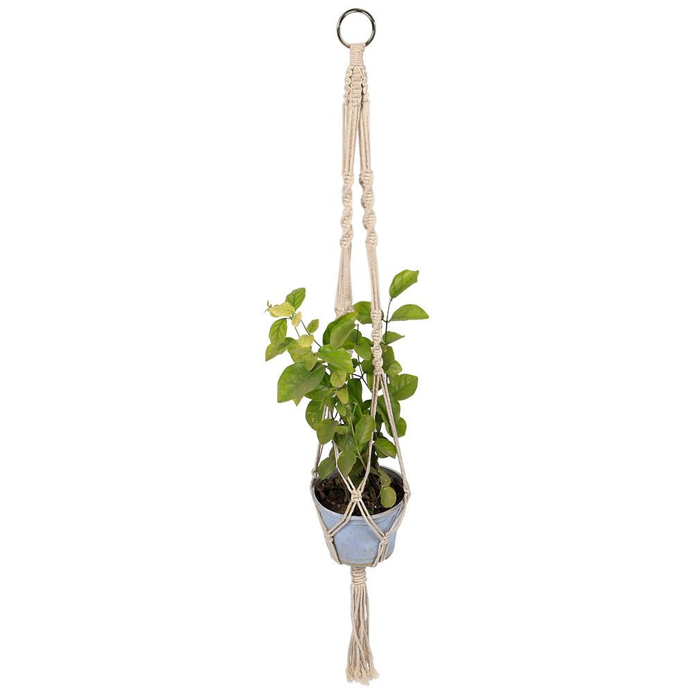 Best ideas about Indoor Hanging Planter
. Save or Pin Indoor Hanging Planter Pk Suncast Ud Hanging Planter Now.