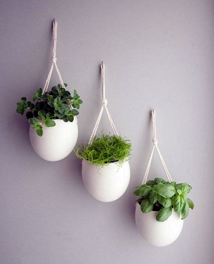 Best ideas about Indoor Hanging Planter
. Save or Pin 18 Alluring Indoor Wall Hanging Planter Designs Now.