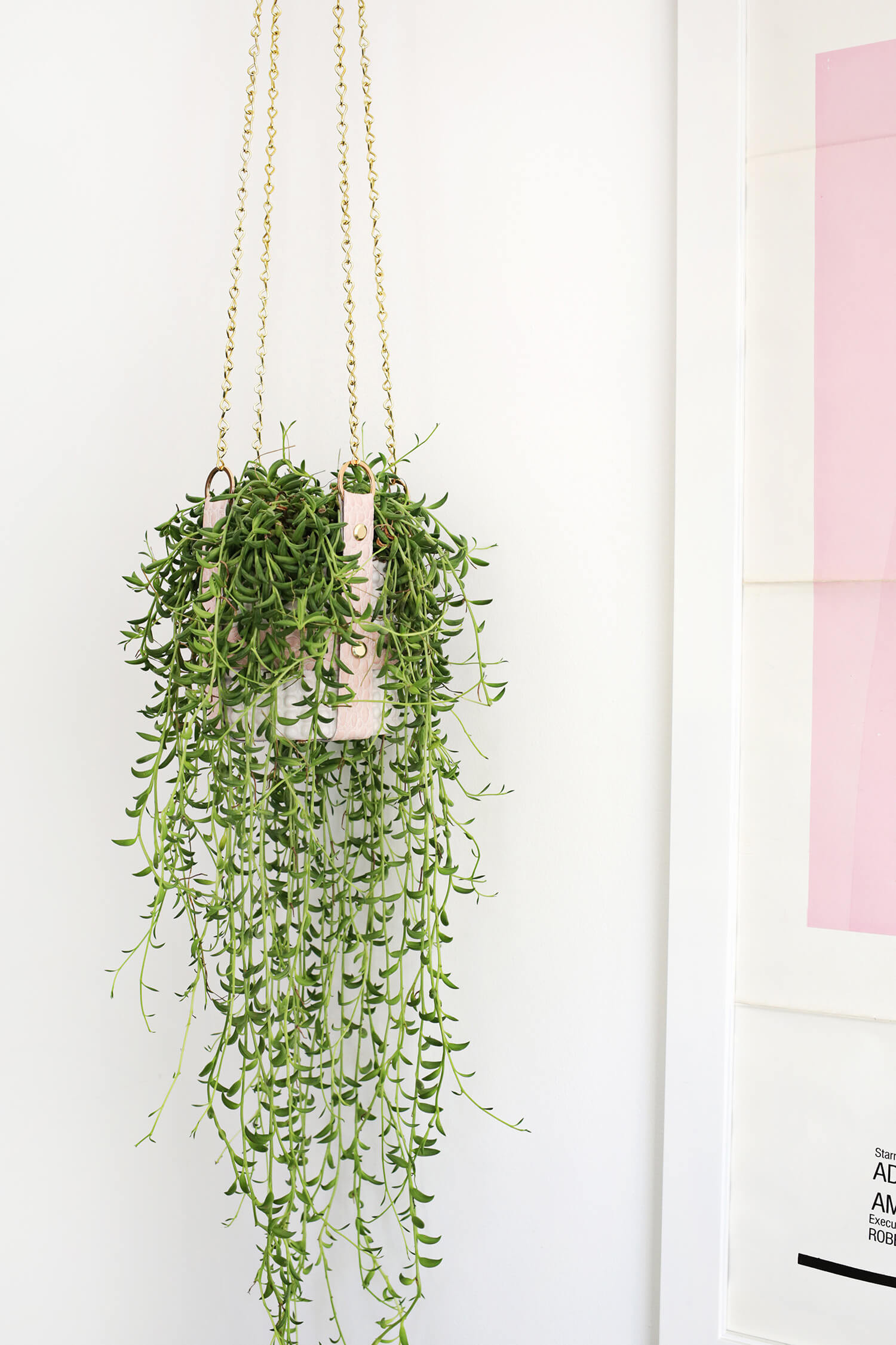 Best ideas about Indoor Hanging Planter
. Save or Pin Hanging Leather Strap Planter DIY A Beautiful Mess Now.