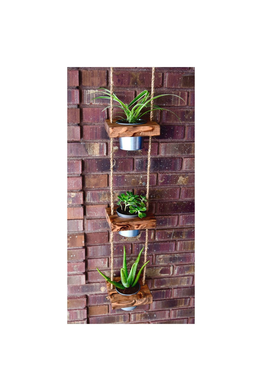 Best ideas about Indoor Hanging Planter
. Save or Pin Hanging planter indoor planter succulent by JuniperWoodshop Now.