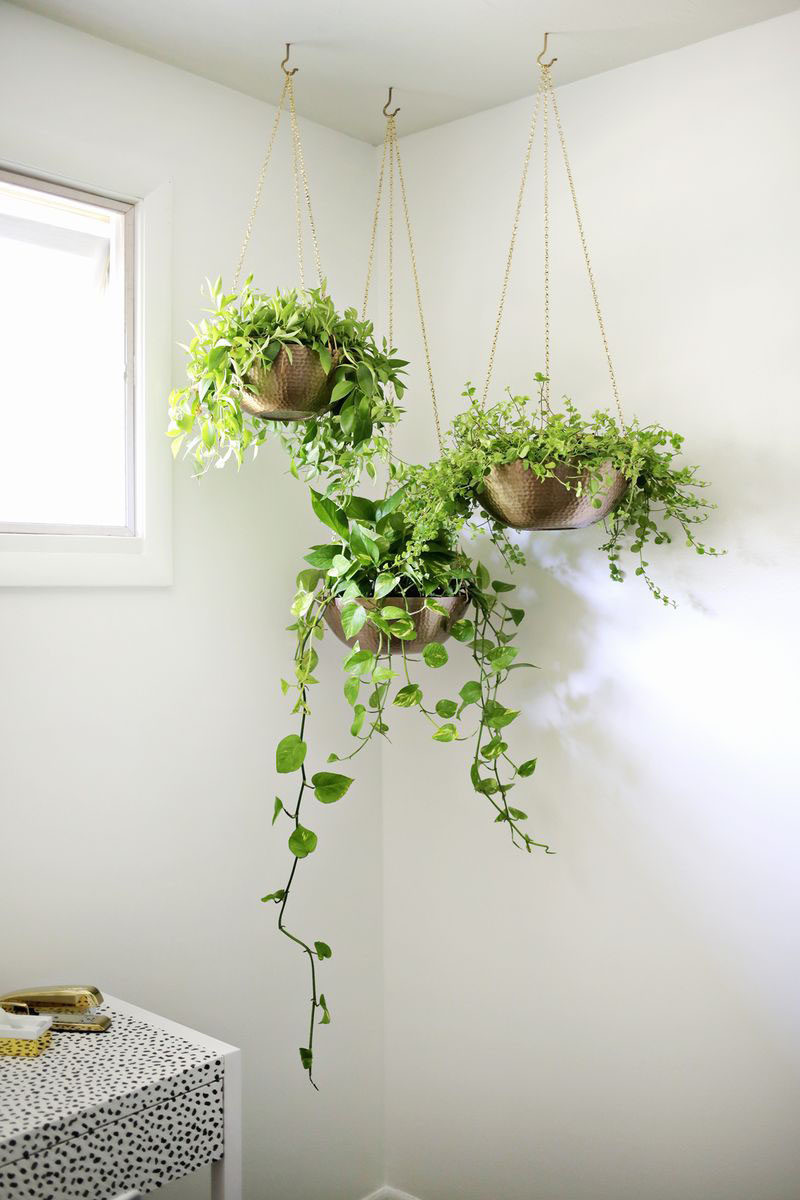 Best ideas about Indoor Hanging Planter
. Save or Pin Indoor Garden Idea Hang Your Plants From The Ceiling Now.