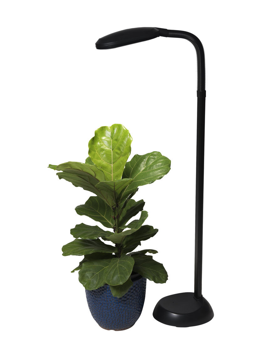 Best ideas about Indoor Plant Light
. Save or Pin CFL Grow Light Full Spectrum Floor Plant Lamp Now.