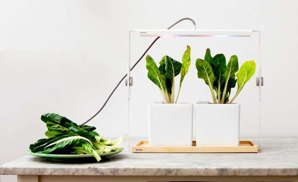 Best ideas about Indoor Plant Light
. Save or Pin Design Centric Indoor Plant Lights For Urban Living Now.