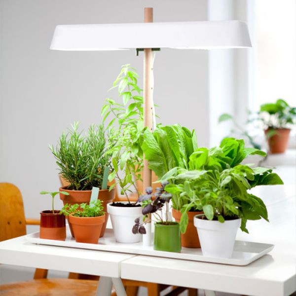 Best ideas about Indoor Plant Light
. Save or Pin Green Light A minimalist kitchen light for growing your Now.