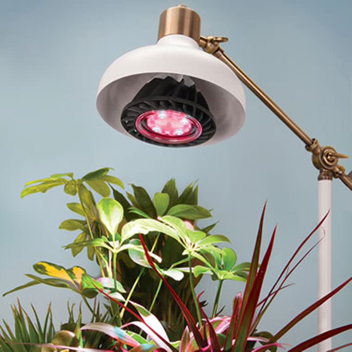 Best ideas about Indoor Plant Light
. Save or Pin LED Grow Light Now.