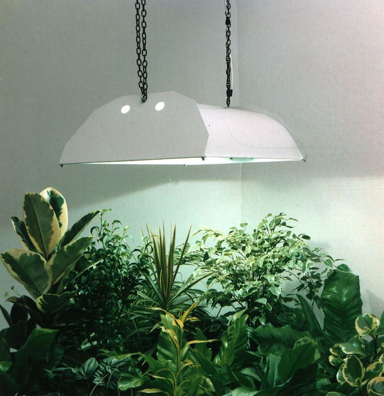 Best ideas about Indoor Plant Light
. Save or Pin Optimizing Your Plant Growth With Indoor Grow Lights Now.