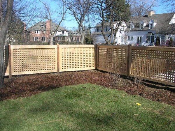 Best ideas about Inexpensive Backyard Privacy Ideas
. Save or Pin Inexpensive Privacy Fence Ideas Fence Ideas Now.