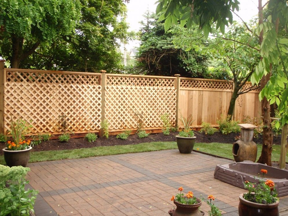 Best ideas about Inexpensive Backyard Privacy Ideas
. Save or Pin cheap fence ideas Google Search Now.