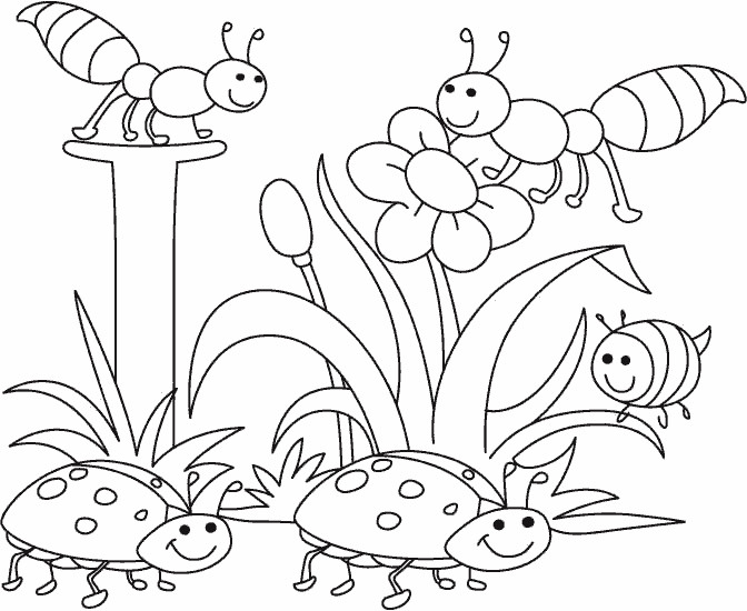 Insect Coloring Pages For Girls
 Раскраска насекомые