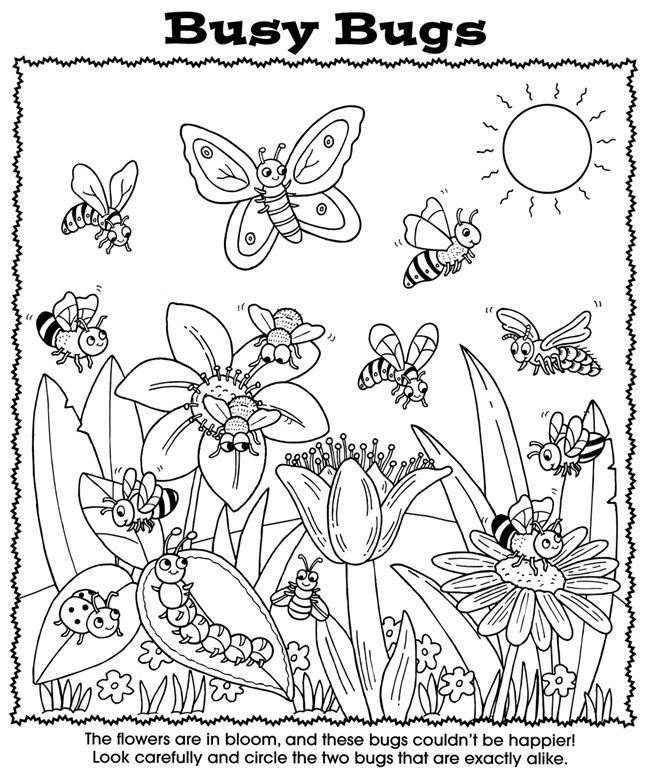 Insect Coloring Pages For Girls
 96 dessins de coloriage Train Ter à imprimer