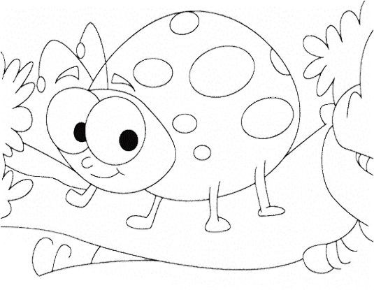 Insect Coloring Pages For Girls
 Cute Ladybug Insect Coloring Pages