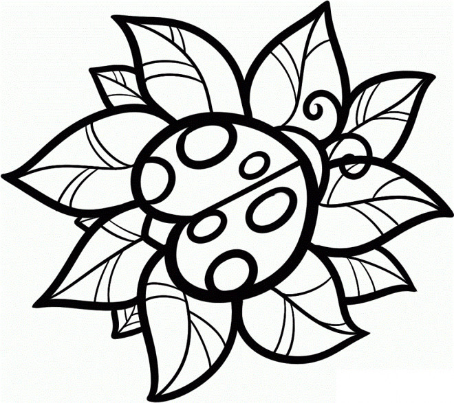 Insect Coloring Pages For Girls
 Coloriage Coccinelle vecteur dessin gratuit à imprimer