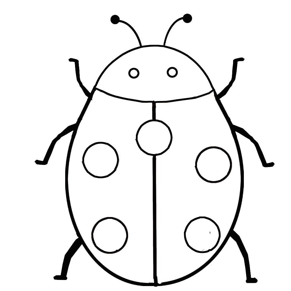 Best ideas about Insect Coloring Sheets For Kids
. Save or Pin 1000 images about bugs on Pinterest Now.