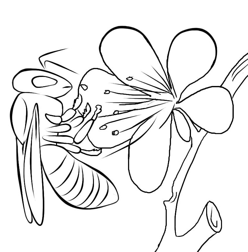 Best ideas about Insect Coloring Sheets For Kids
. Save or Pin Free Printable Bug Coloring Pages For Kids Now.