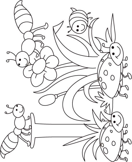 Best ideas about Insect Coloring Sheets For Kids
. Save or Pin I for insect coloring page for kids Now.