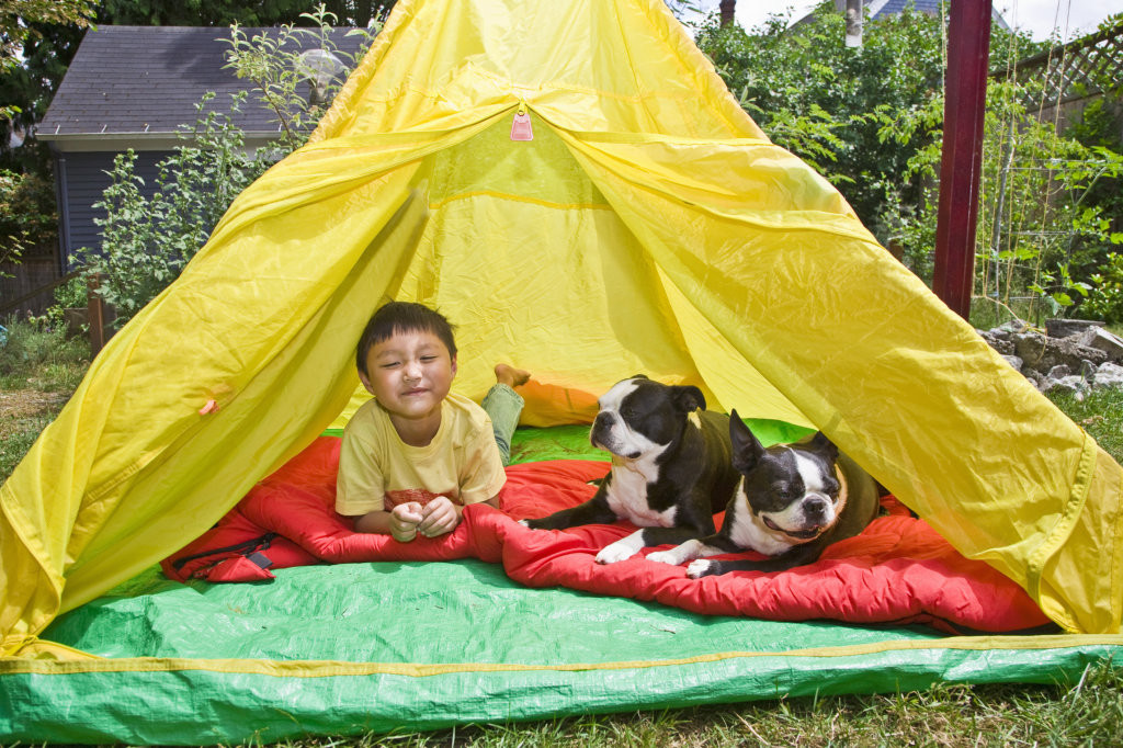 Best ideas about Is It Legal To Live In A Camper In Your Backyard
. Save or Pin 5 Ideas for Camping in the Backyard Now.