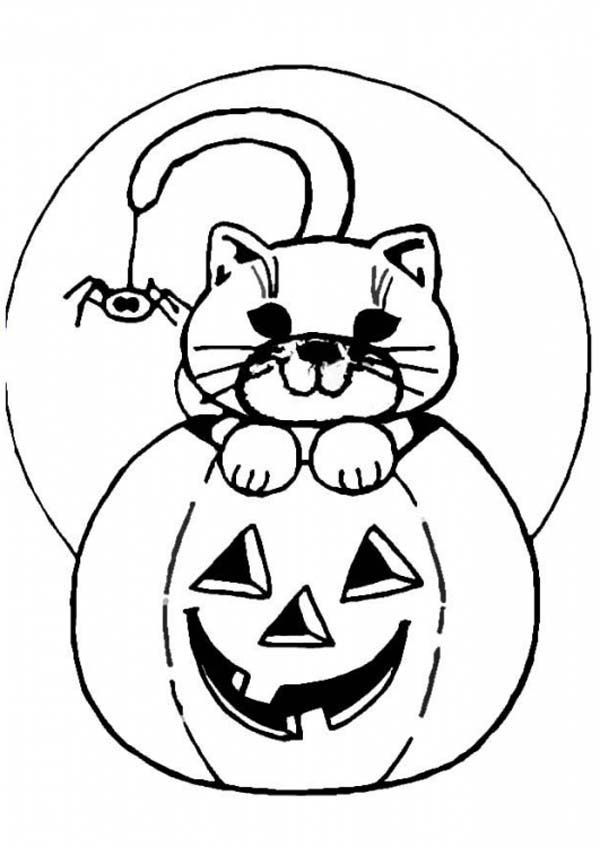 Jack O Lanterns Coloring Pages
 Jackolantern Coloring Pages Coloring Home