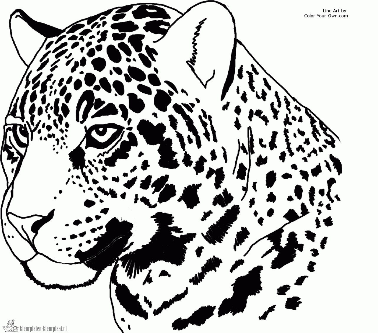 Jaguar Coloring Pages
 Kleurplaten jaguar