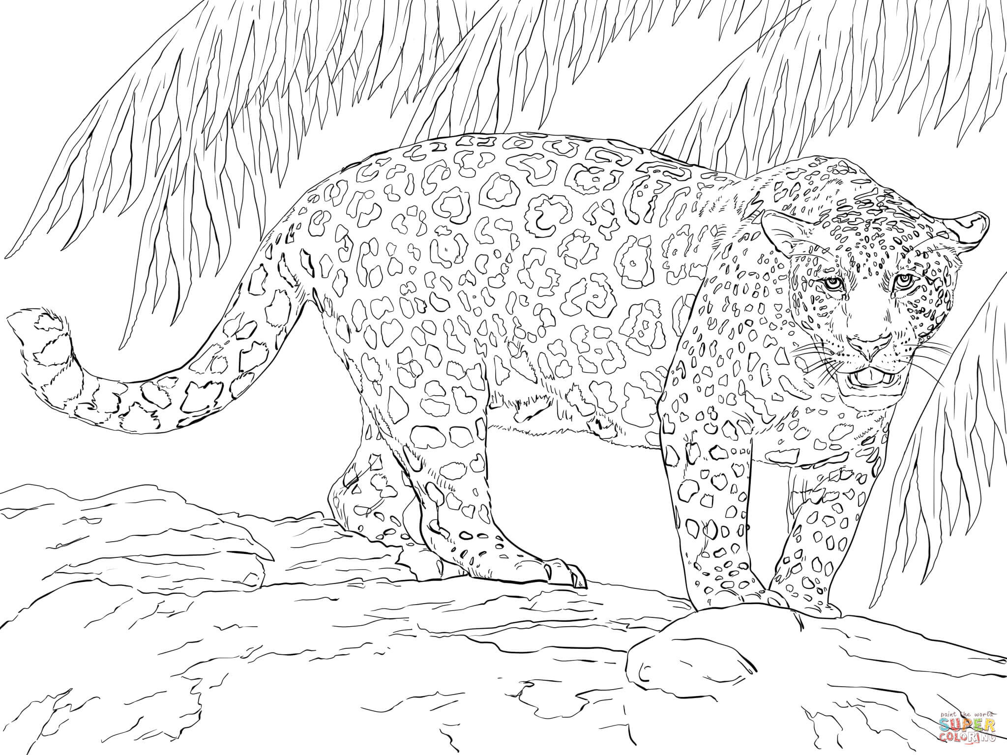 Jaguar Coloring Pages
 Great Jaguar coloring page