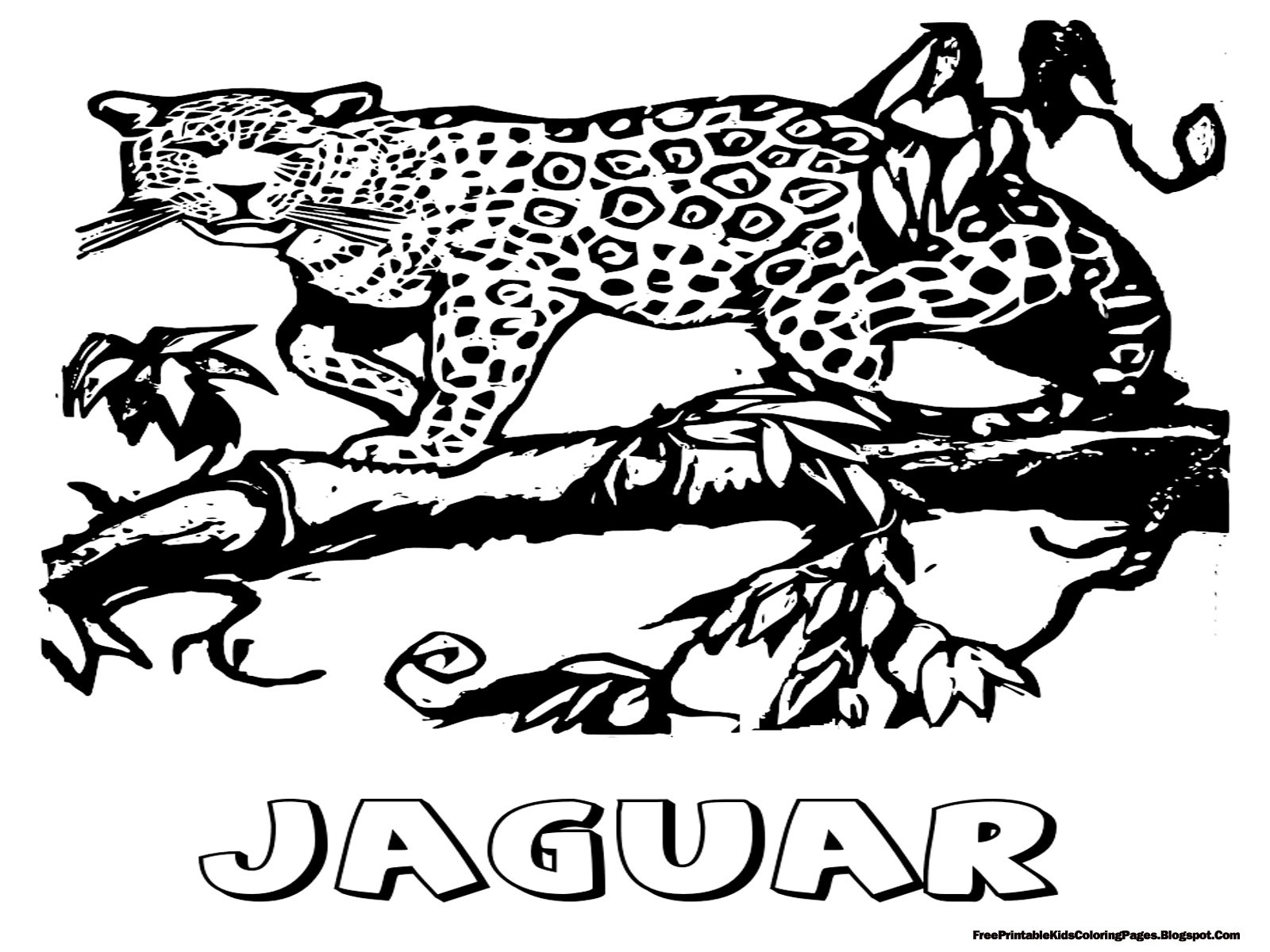 Jaguar Coloring Pages
 Jaguar Coloring Pages Free Printable Kids Coloring Pages