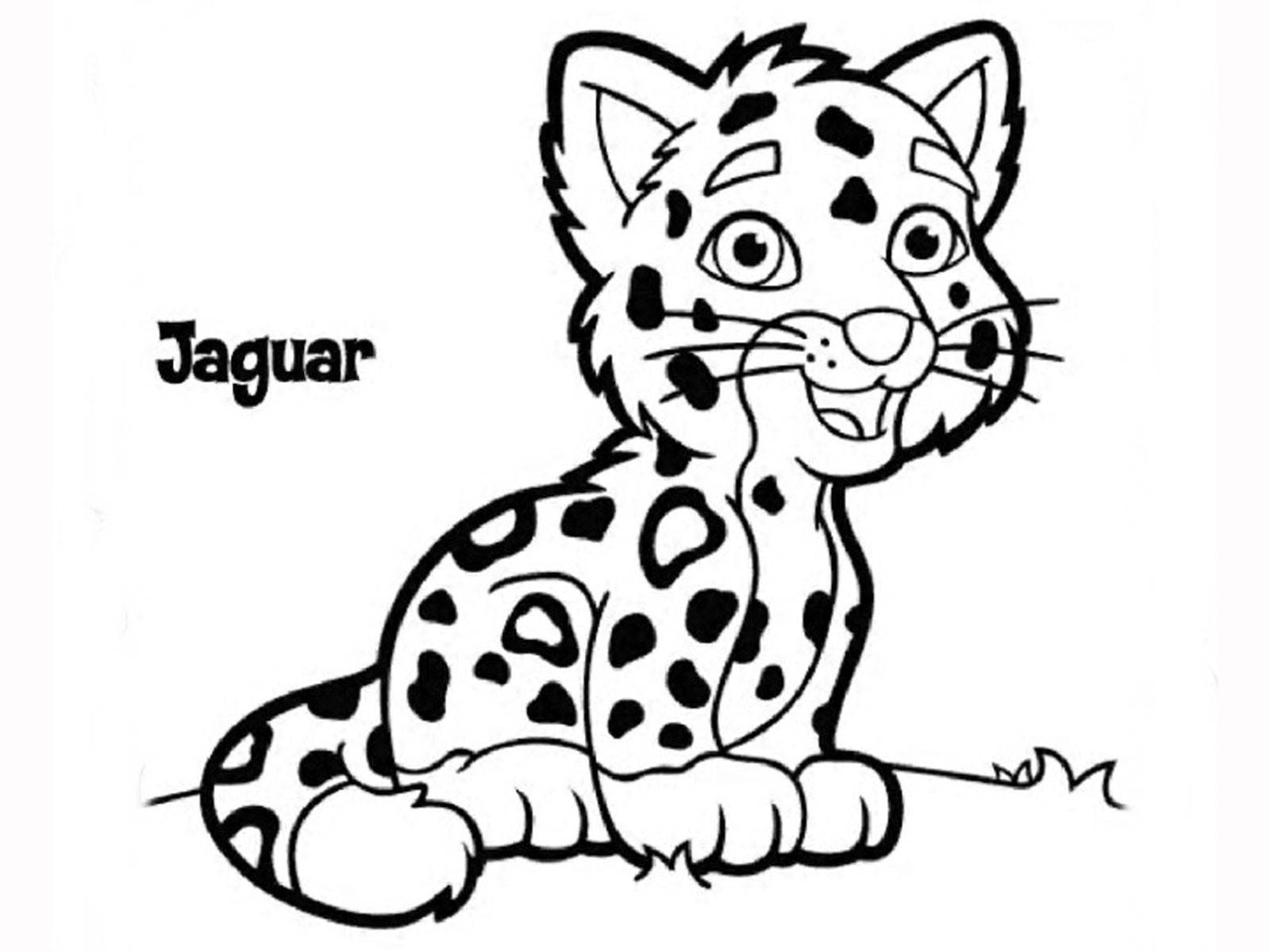 Jaguar Coloring Pages
 Jaguar Animal Facts