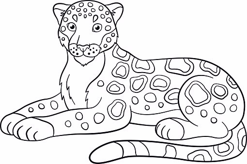 Jaguar Coloring Pages
 jaguar printable coloring pages