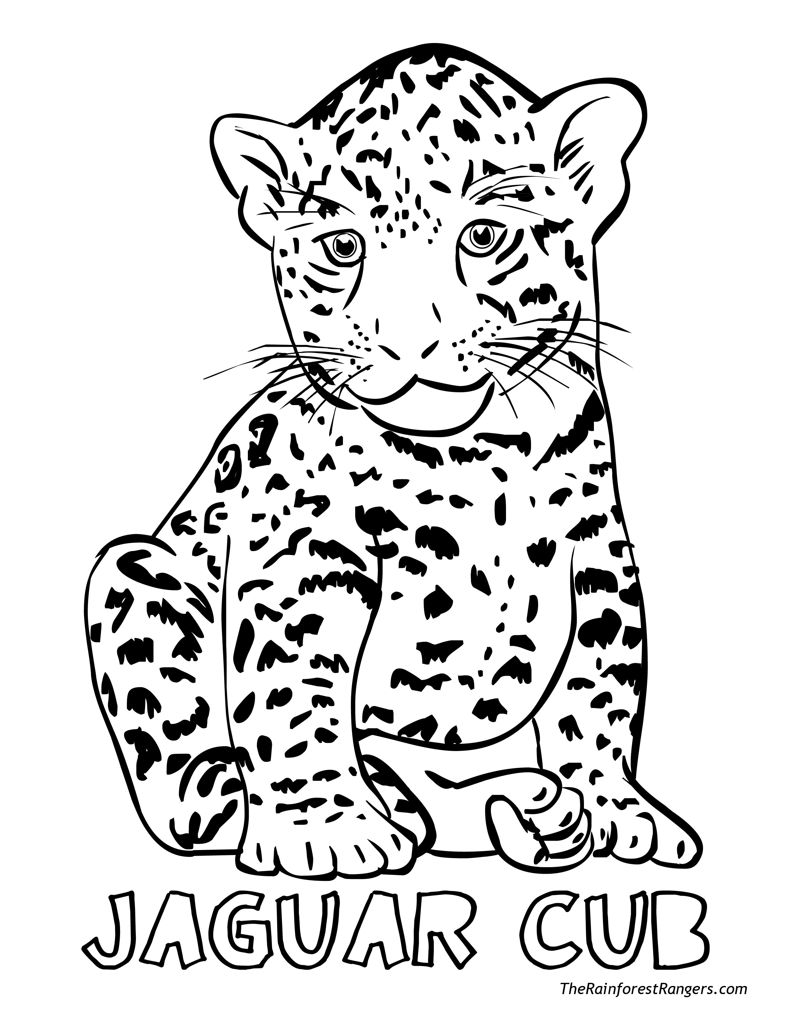 Jaguar Coloring Pages
 jaguar coloring pages