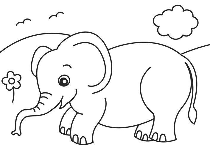 Jungle Animal Coloring Pages
 2o Awesome Jungle Coloring Pages