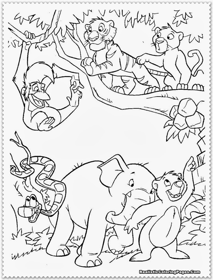 Jungle Animal Coloring Pages
 Realistic Jungle Animal Coloring Pages