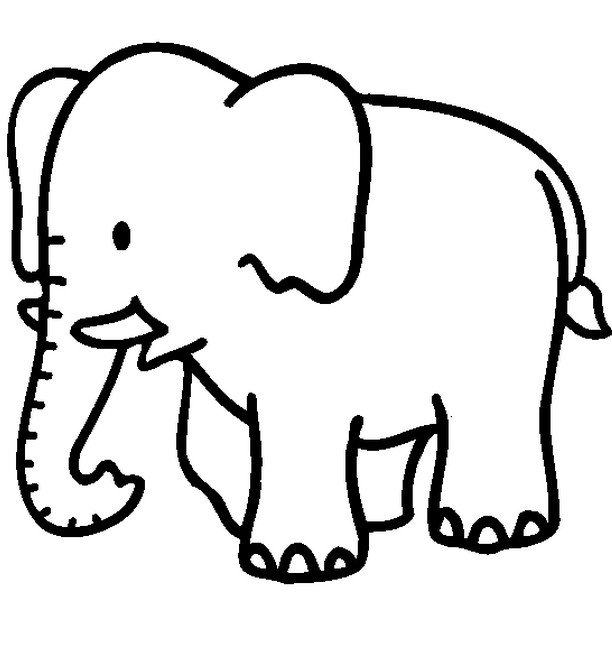 Jungle Animal Coloring Pages
 Coloring Pages Animals Coloring Pages For Kids