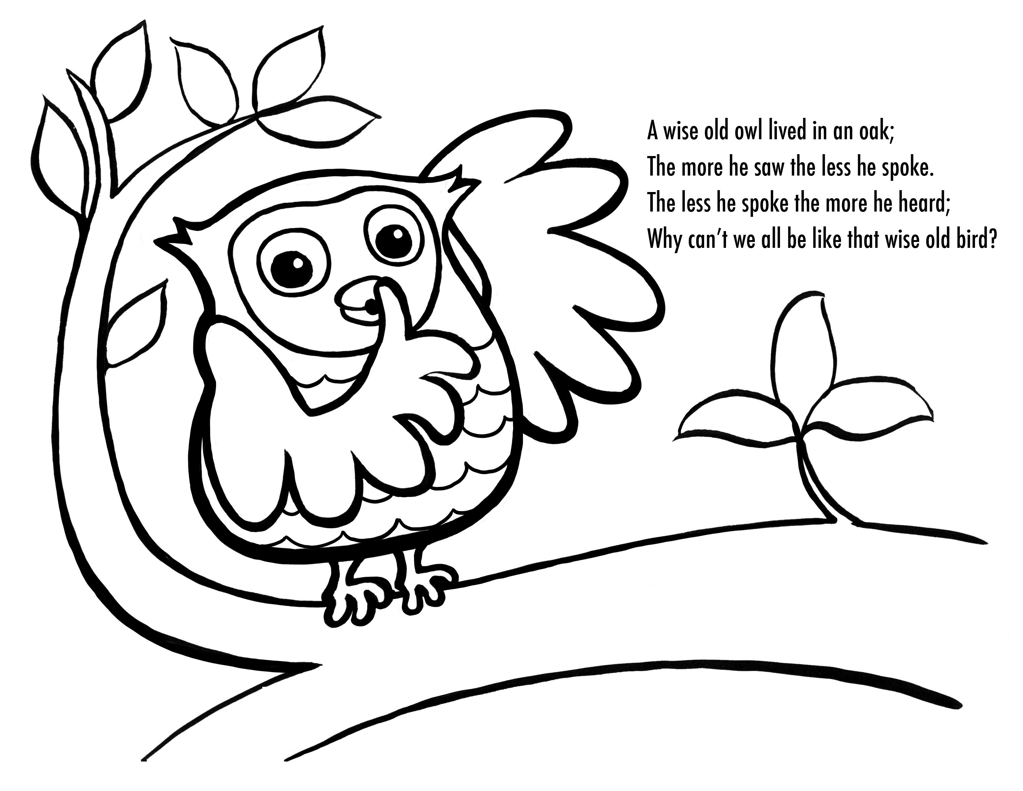 Kids Free Coloring Sheets
 Free Printable Owl Coloring Pages For Kids