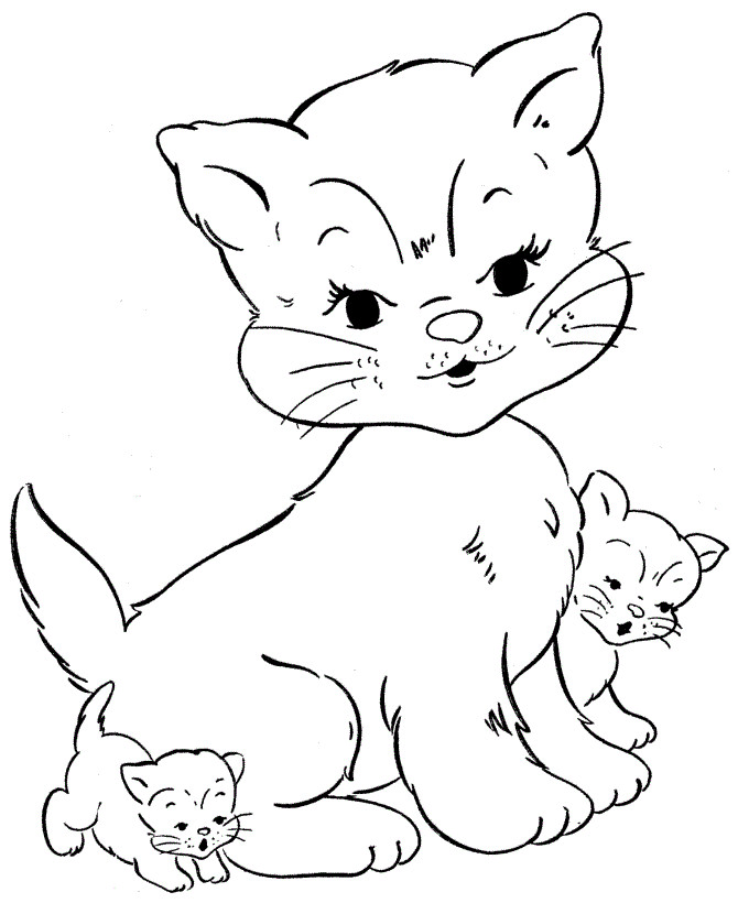 Kitten Coloring Pages
 Free Printable Cat Coloring Pages For Kids