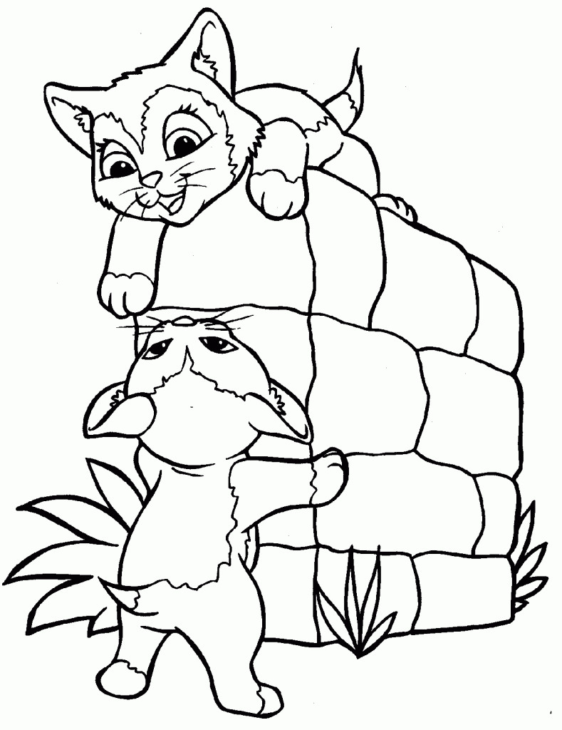 Kitty Coloring Pages
 Free Printable Cat Coloring Pages For Kids