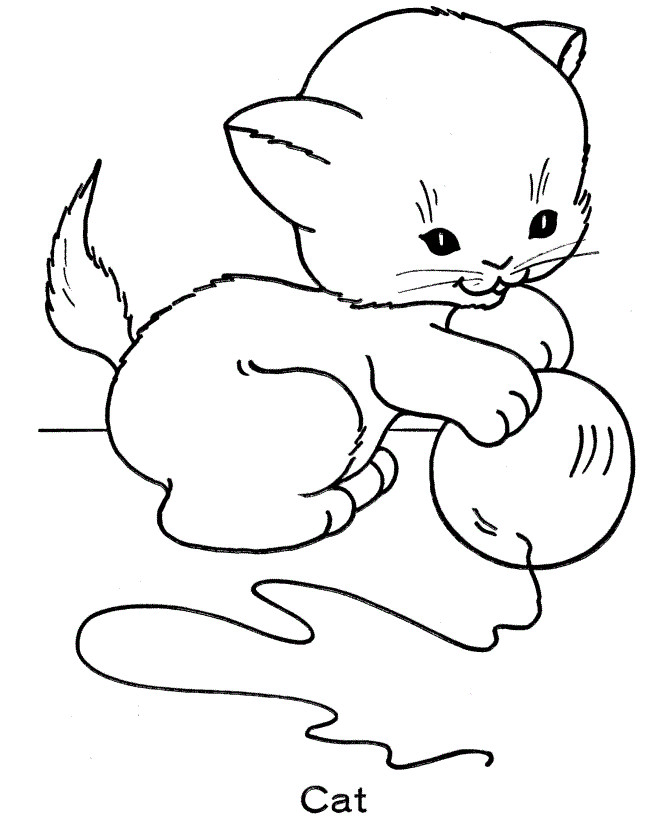 Kitty Coloring Pages
 Free Printable Cat Coloring Pages For Kids