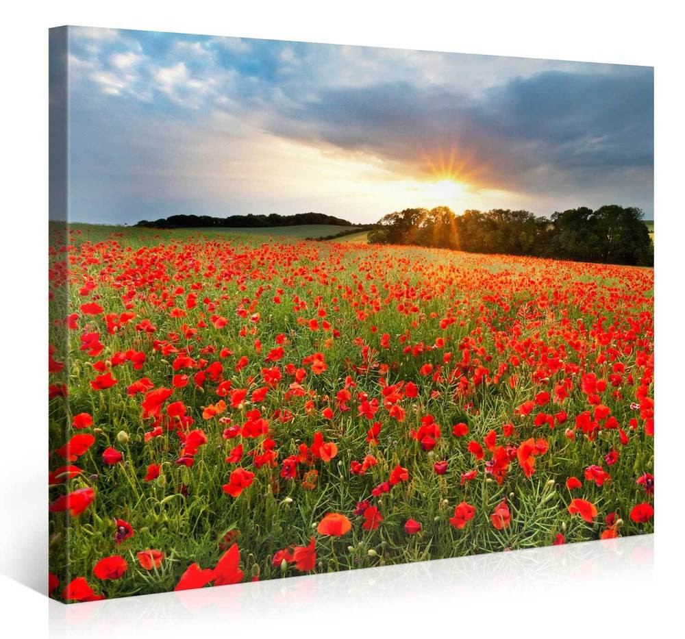 Best ideas about Landscape Canvas Prints
. Save or Pin Stretched Canvas Print POPPIE FIELD SUNSET Now.