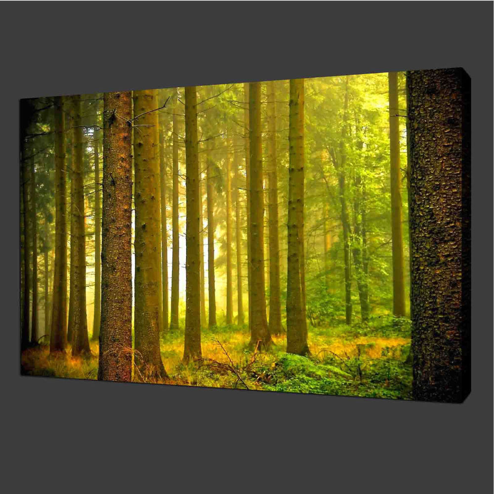 Best ideas about Landscape Canvas Prints
. Save or Pin Canvas Prints Home Decor Modern Wall Art Now.