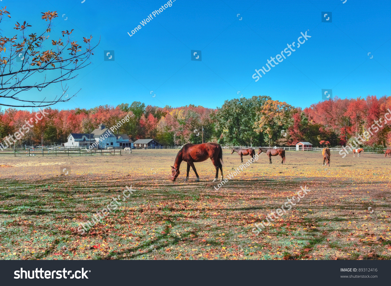 Best ideas about Landscape Of A Stable
. Save or Pin High Dynamic Range Landscape A Rustic Horse Stable In Now.